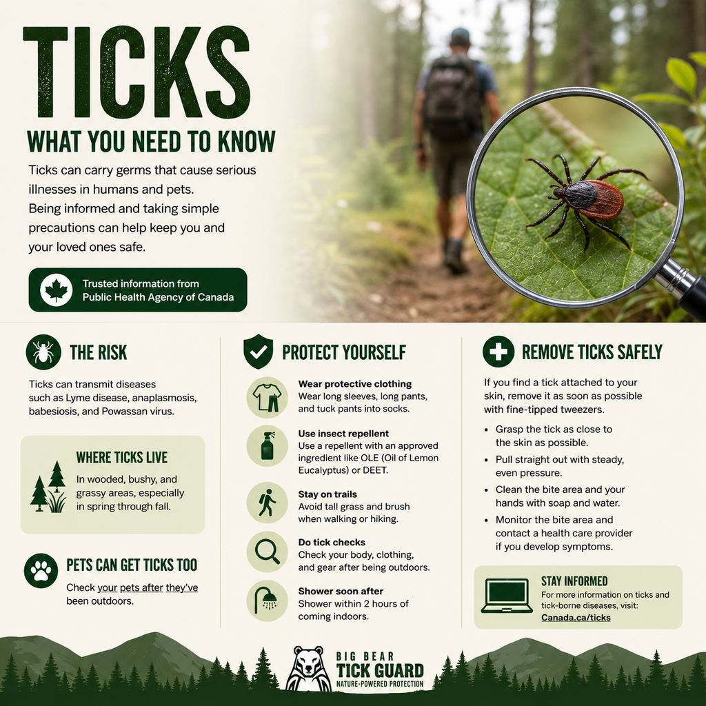 Big Bear Tick Guard | Natural Tick & Insect Repellent Spray