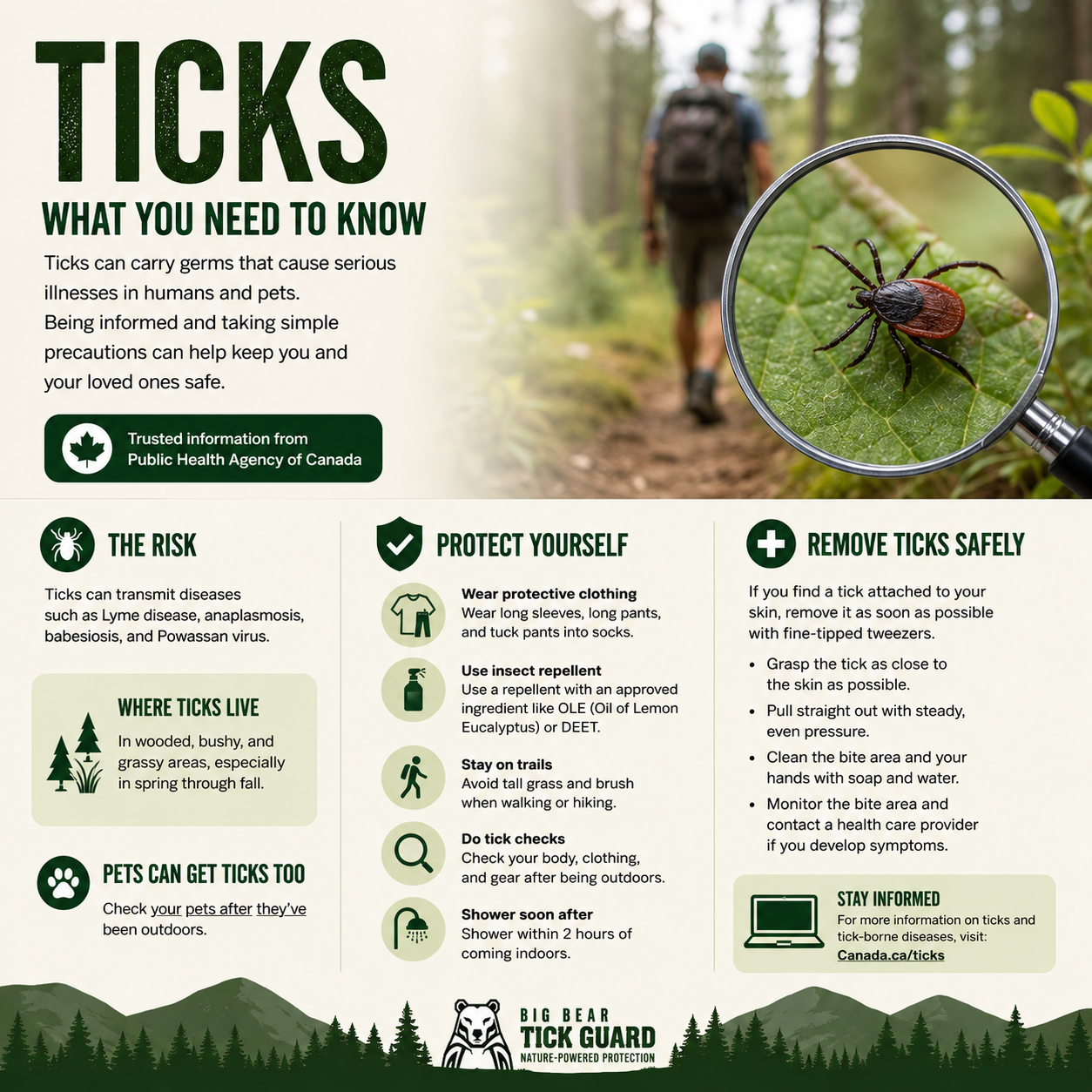 Big Bear Tick Guard | Natural Tick & Insect Repellent Spray