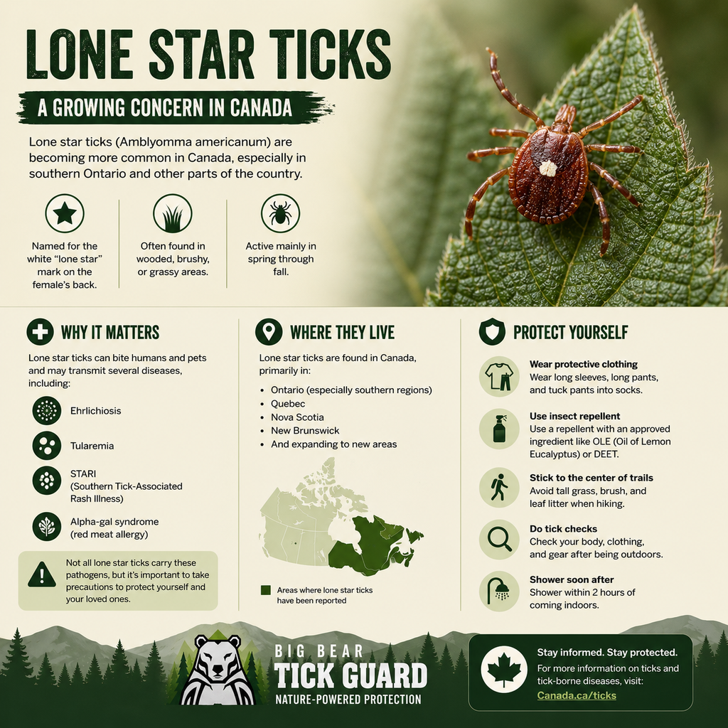 Big Bear Tick Guard Family Pack | 4 x 4 oz Tick & Mosquito Repellent Spray