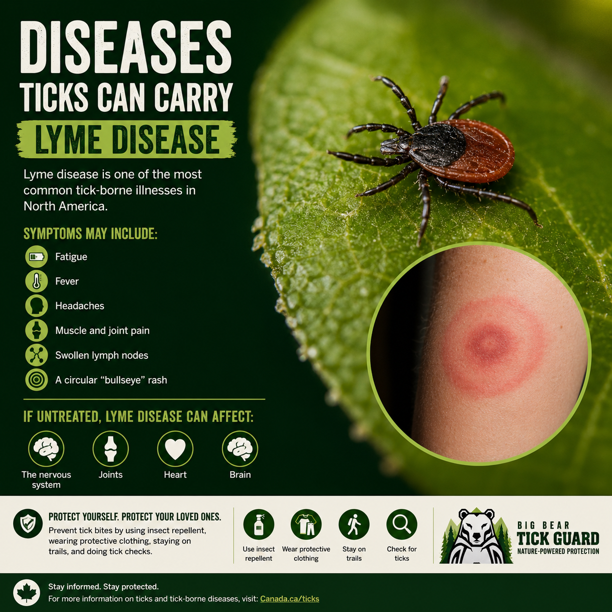 Big Bear Tick Guard Family Pack | 4 x 4 oz Tick & Mosquito Repellent Spray